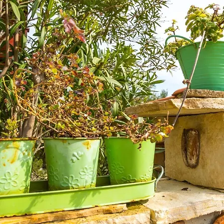 By The Sea Rogac, Solta - 11220 *