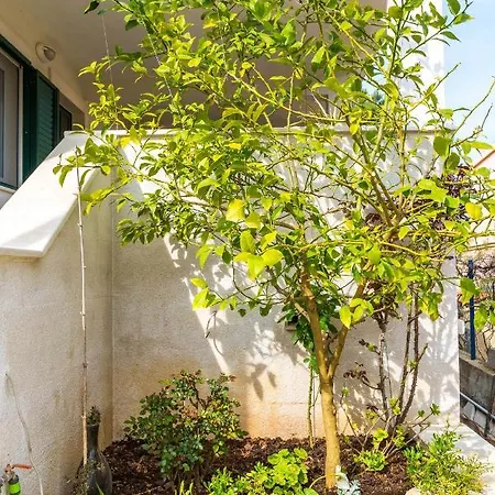 Apartamento By The Sea Rogac, Solta - 11220